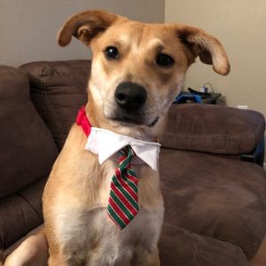 Meet your Posher, Laiken